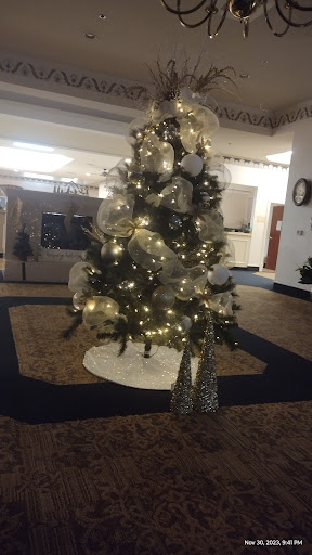 A beautifully decorated Christmas tree with lights and ornaments, set in a cozy indoor space.