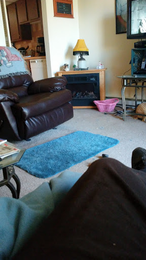 A cozy living room featuring a dark leather couch, a blue rug, and various furnishings creating a warm atmosphere.