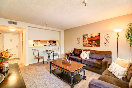 A cozy living room featuring a comfortable sofa, modern coffee table, and dining area seamlessly integrated.