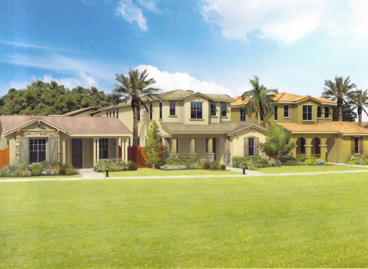 A row of suburban houses with palm trees and a well-maintained lawn under a blue sky.