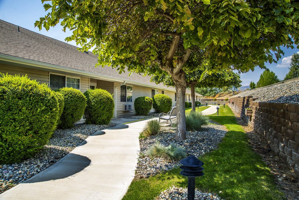 A winding pathway lined with trees and bushes leads to a building.