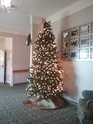 A beautifully decorated Christmas tree adorned with lights, bringing festive cheer to the living room.