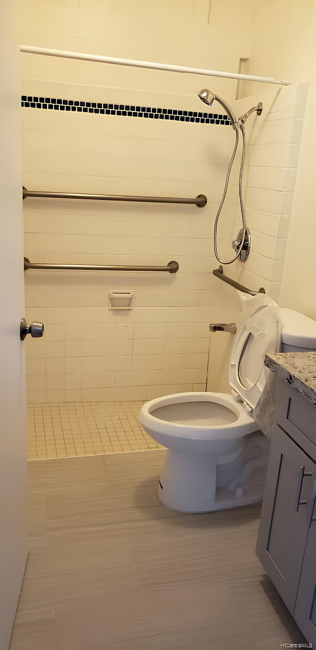 An accessible bathroom with a shower area and grab bars installed for support.