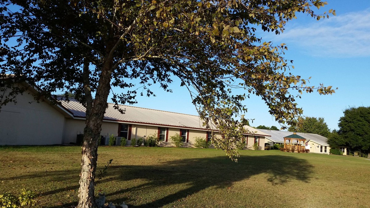 A scenic view of a building with a tree casting a shadow on the lawn.