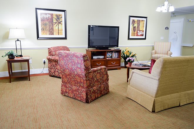 A cozy living room with patterned armchairs, a television on a wooden stand, and decorative paintings on the walls.