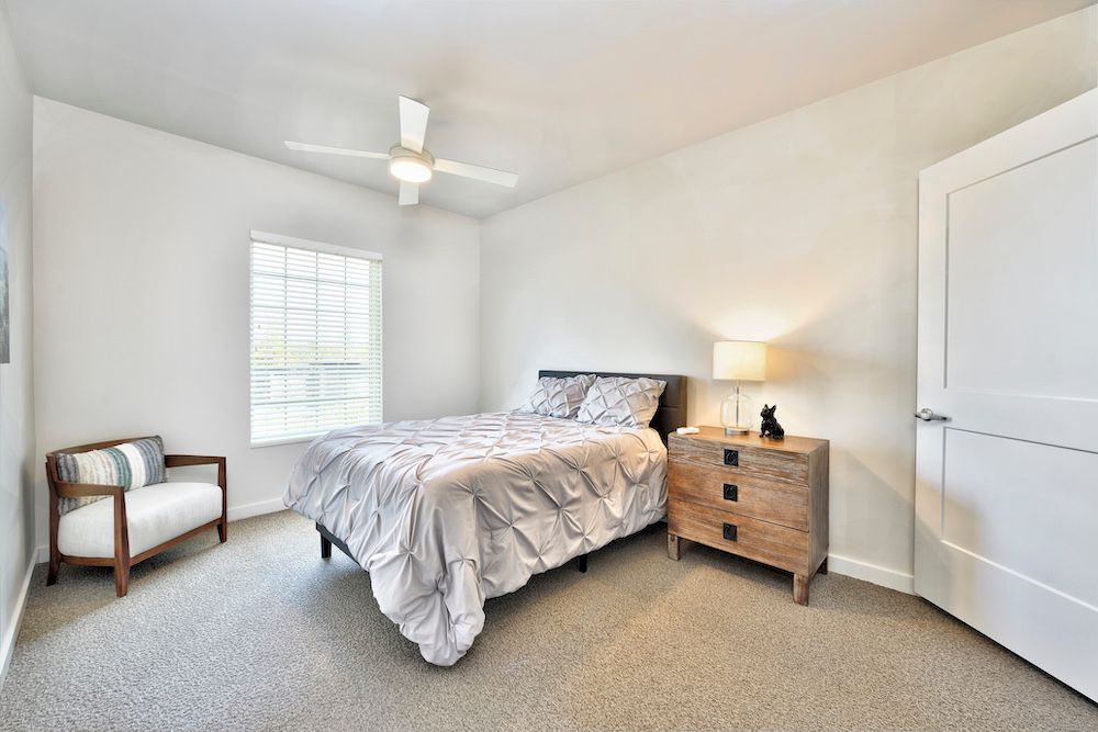 A minimalist bedroom with a bed, nightstand, and lamp, featuring a ceiling fan and large window.