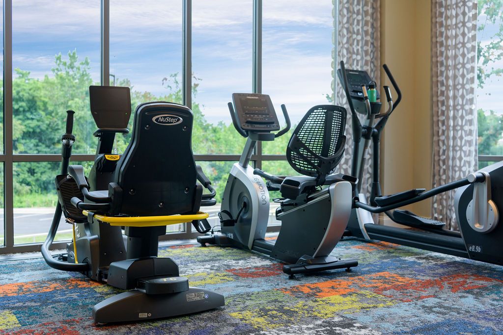 A modern gym setup with various cardio machines in front of large windows.