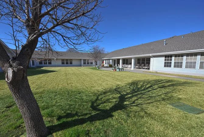 A courtyard with a tree casting a shadow on the grass, surrounded by buildings under a clear blue sky.