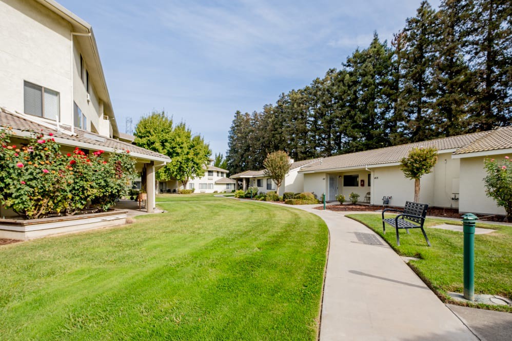 A serene outdoor view of a landscaped area with buildings, a curved pathway, and lush green grass on a sunny day.