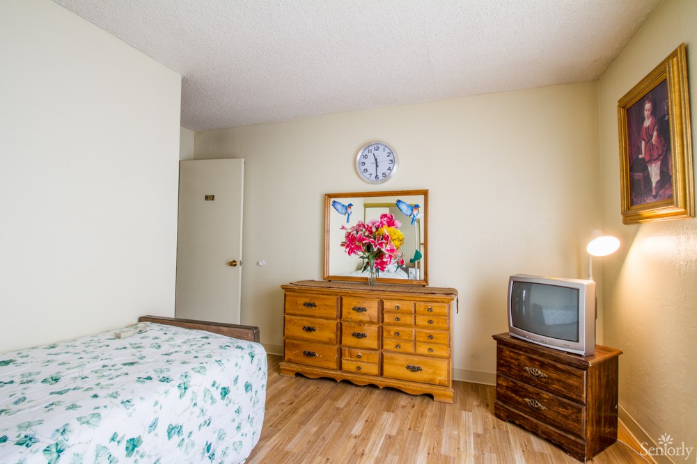 A cozy bedroom with a wooden dresser, television, and floral painting.