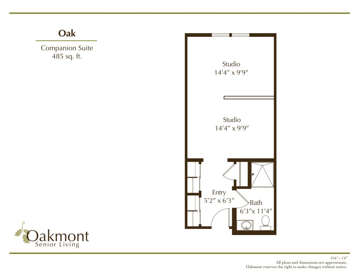 Floor plan of the Oak Companion Suite, featuring a studio layout with room dimensions.