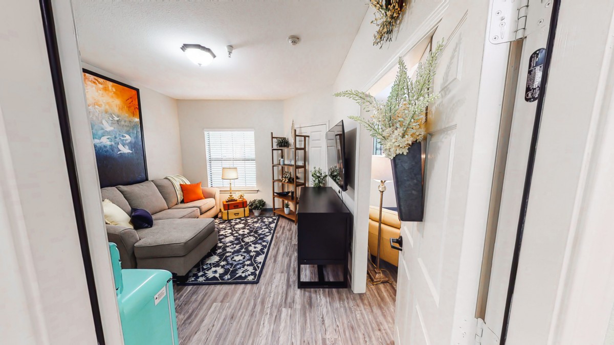 A modern living room with a cozy sofa, TV, and stylish decor.
