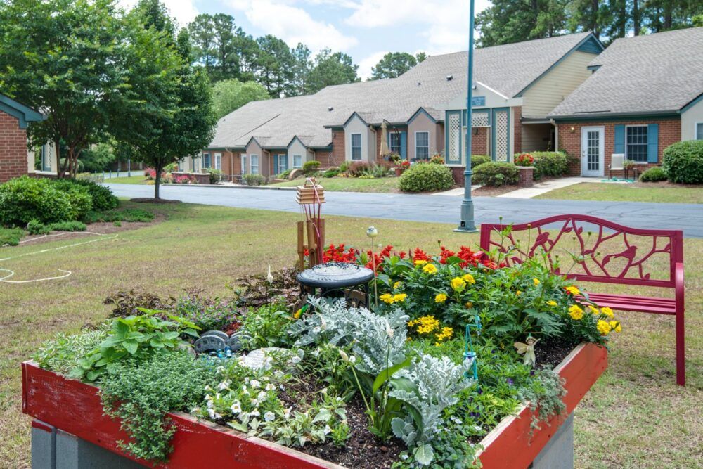 A vibrant garden with blooming flowers in a residential neighborhood.