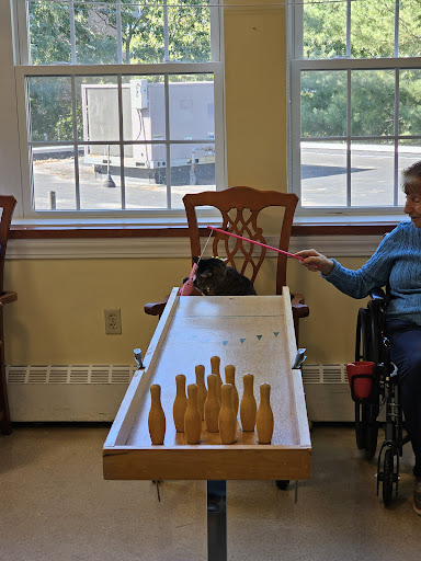 Residents enjoying a fun bowling activity with a pet in a cozy indoor setting.