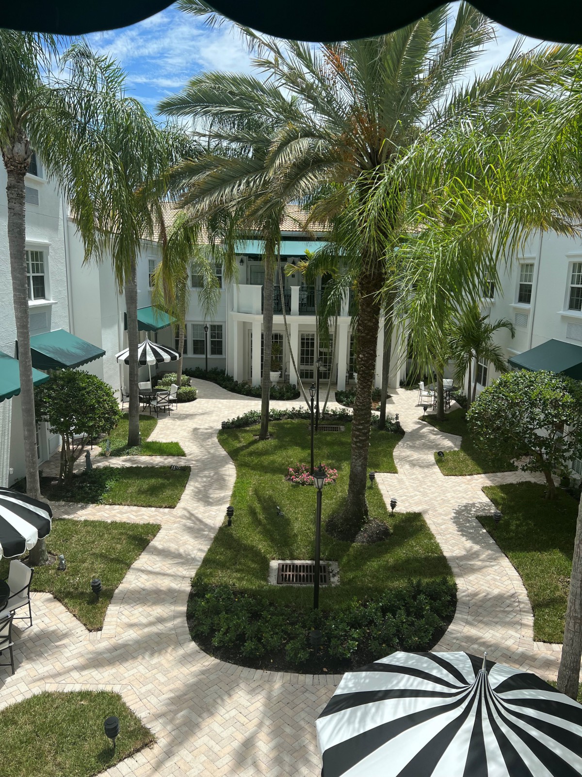 A beautiful courtyard with palm trees, winding pathways, and lush greenery on a sunny day.