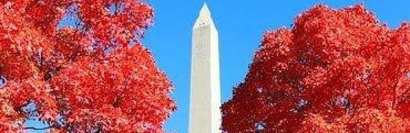 A prominent obelisk monument framed by vibrant red autumn trees against a clear blue sky.