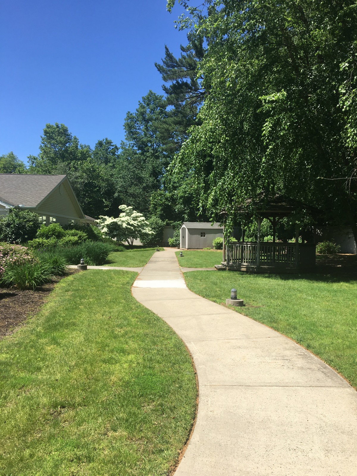 A sunny garden pathway surrounded by lush greenery and landscaping.