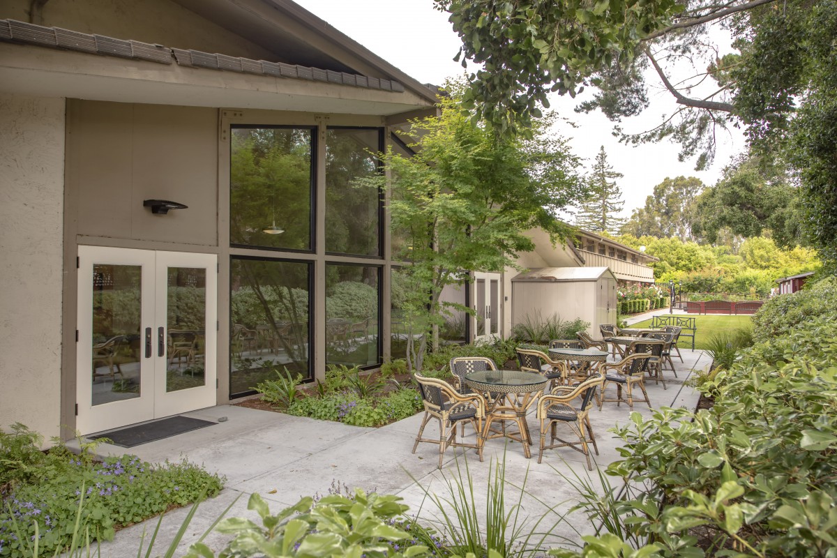 An outdoor seating area with tables and chairs surrounded by greenery.