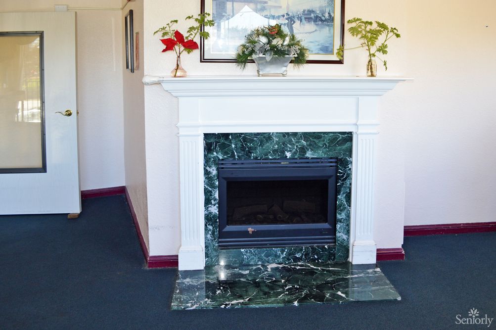 A stylish fireplace with a marble surround, adorned with plants and artwork.