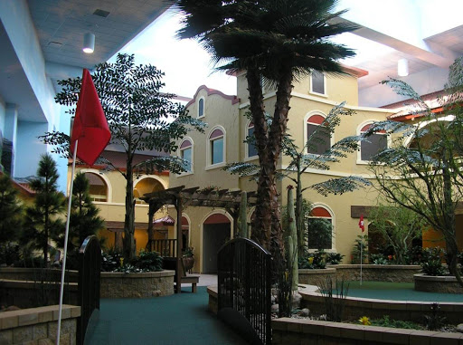 A serene courtyard featuring palm trees and a tranquil water feature, with a flag in the foreground.