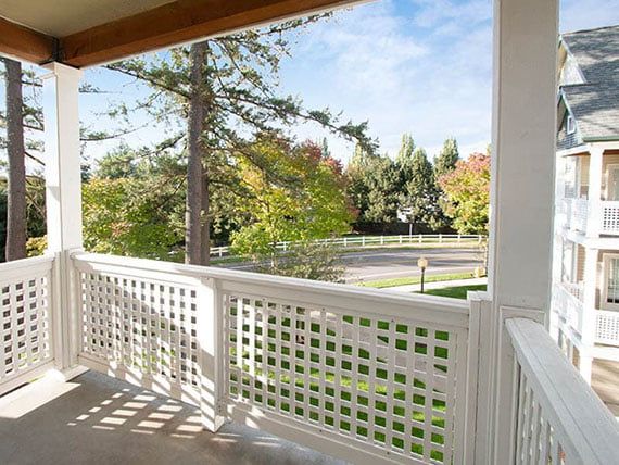 A sunny view from a porch overlooking a lush garden and trees.