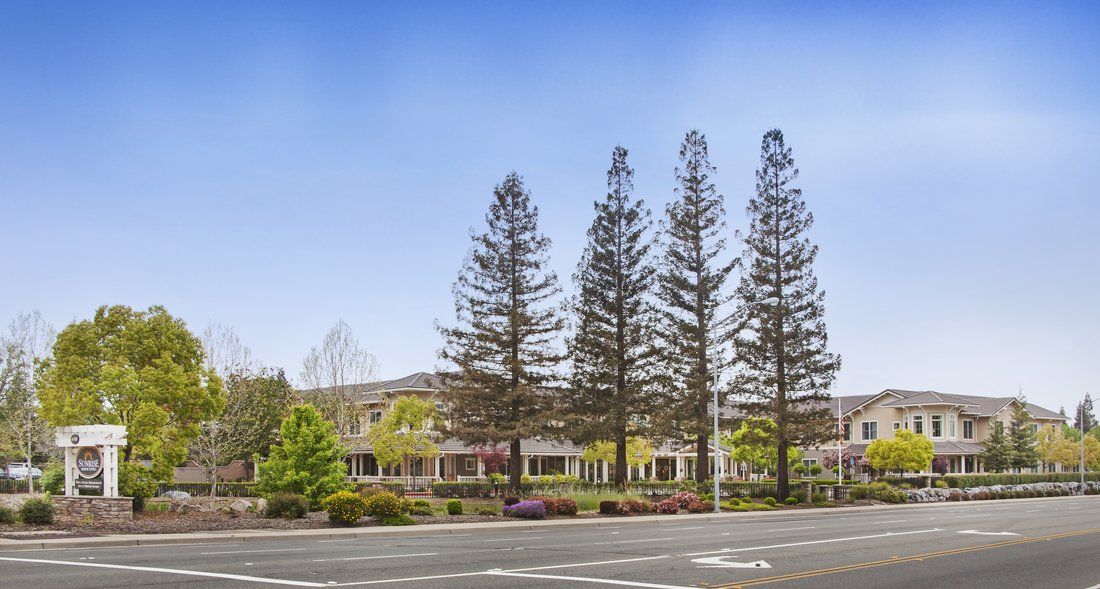 A scenic view of a building lined with tall trees beside a road.