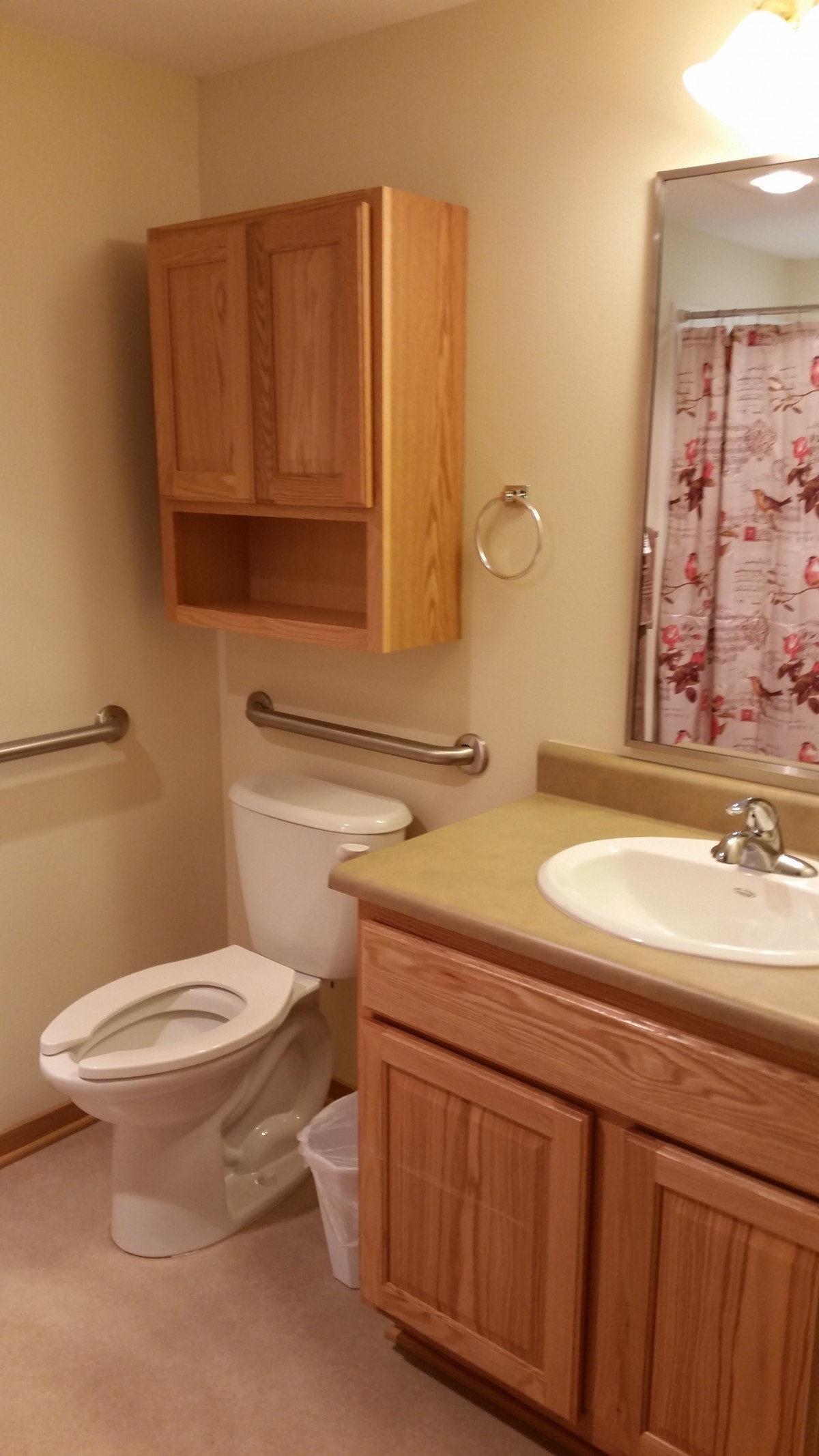 A well-organized bathroom with wooden cabinets, a sink, and safety handrails.