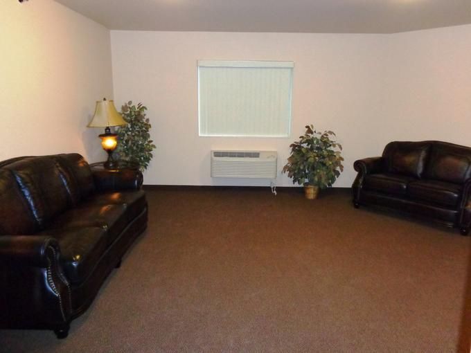 A minimalist living room with leather sofas, a lamp, and potted plants.