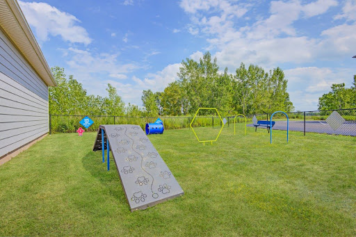 An outdoor dog agility training area featuring various equipment set against a backdrop of green grass and blue skies.