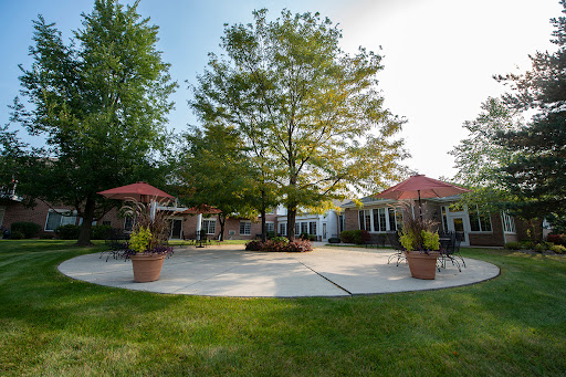 A serene outdoor space featuring a central tree and comfortable seating arrangements.