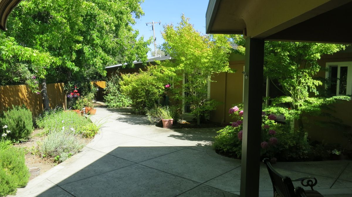 A sunny garden pathway surrounded by lush greenery.