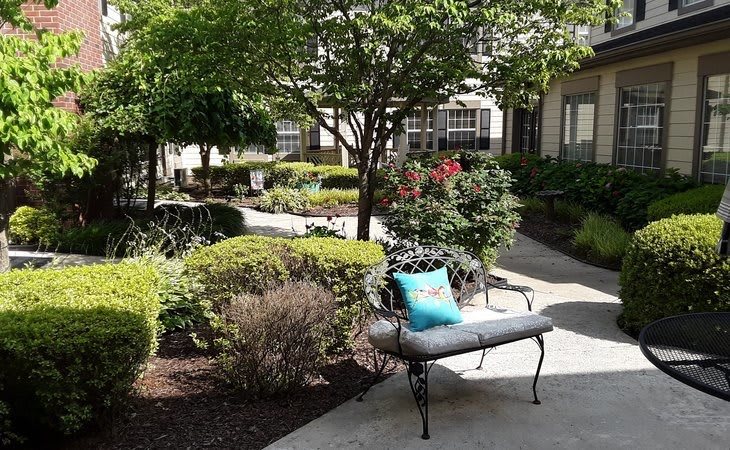 A serene garden with a bench and lush greenery.