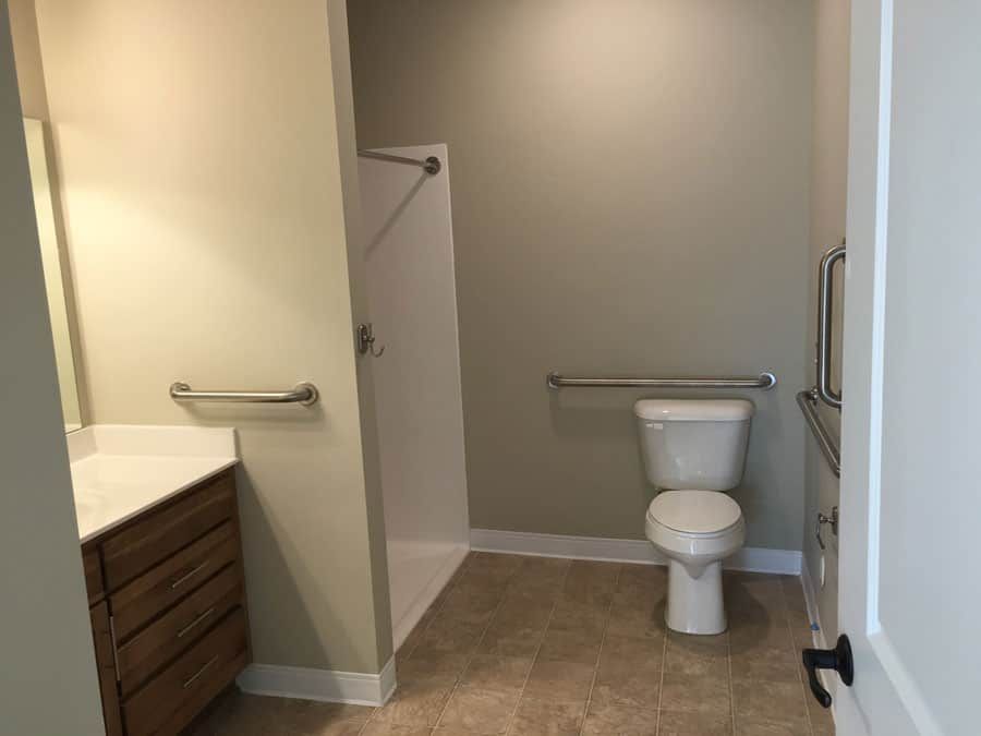 A spacious and accessible bathroom with a toilet, shower, and handrails.