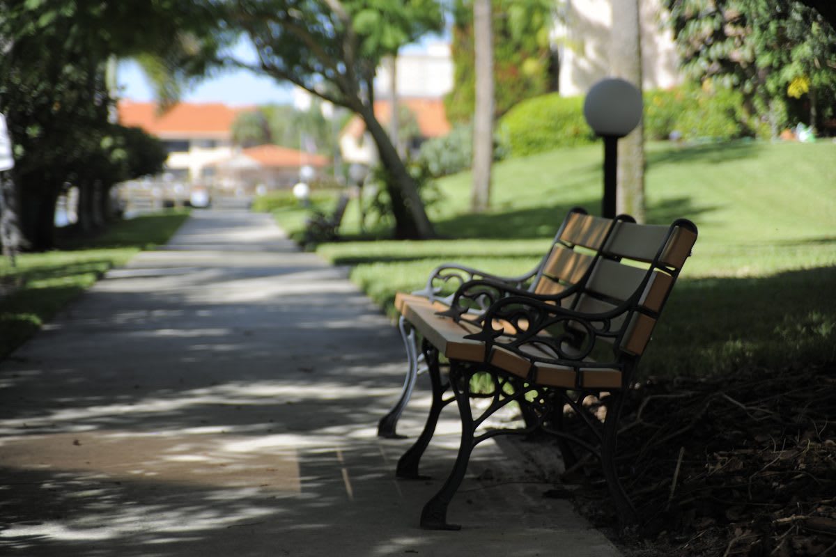 A peaceful park bench along a tree-lined sidewalk under dappled sunlight.