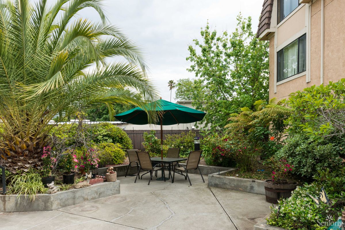A tranquil garden patio with a table set and umbrella surrounded by lush greenery.