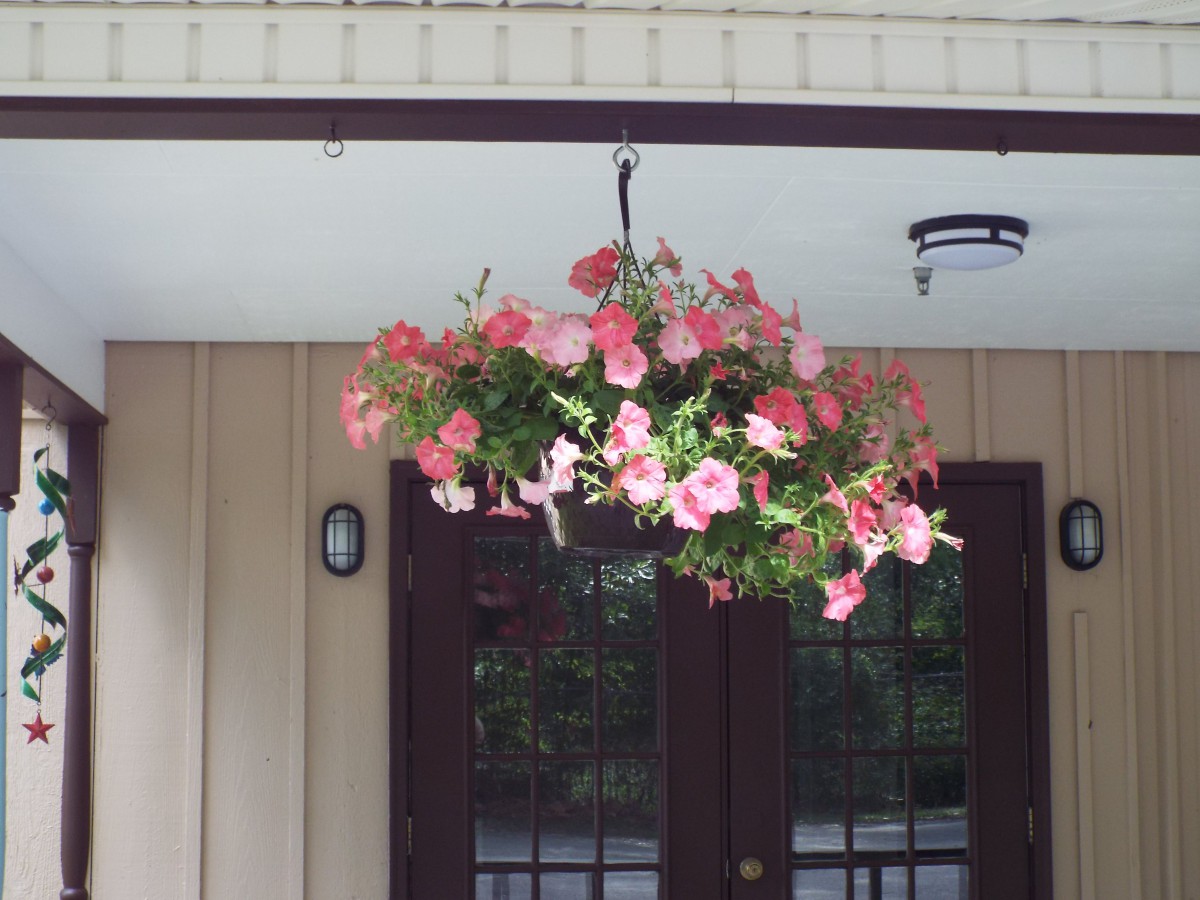A hanging basket filled with pink flowers decorates the exterior of a building.