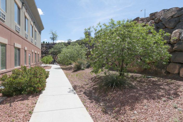 A sunny sidewalk bordered by trees and a building.