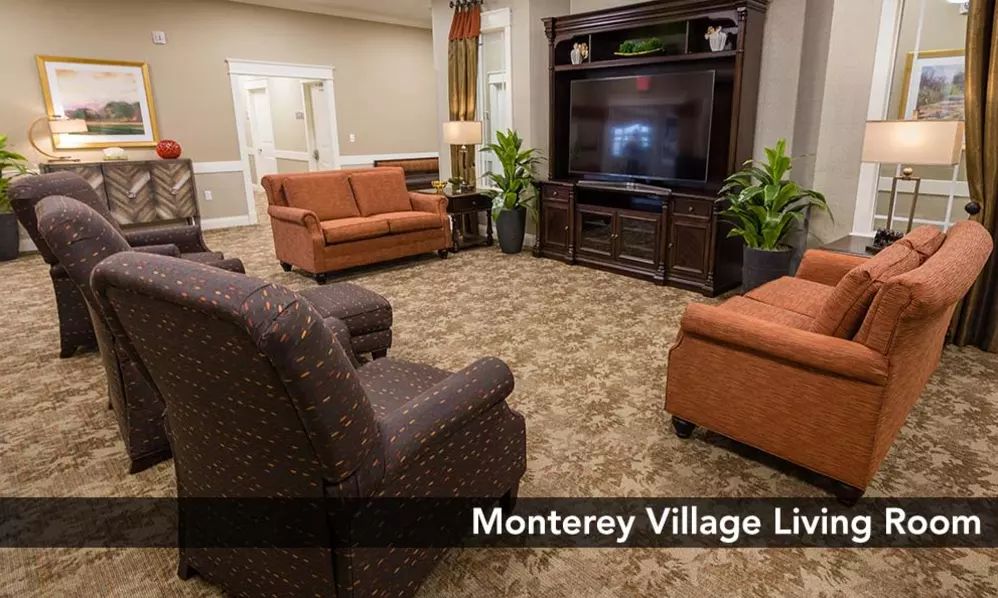 A cozy living room featuring a television, sofas, and decorative plants.
