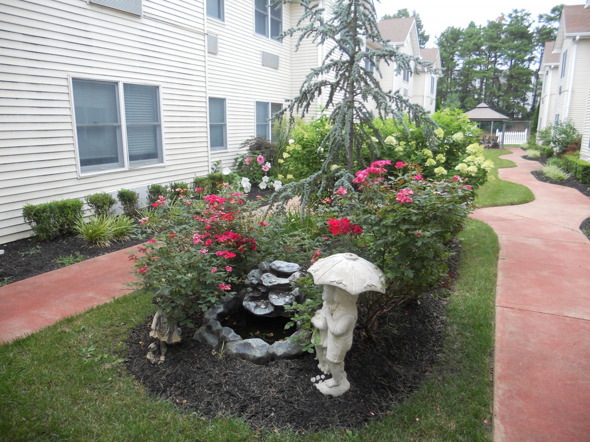 Spring Oak Of Toms River