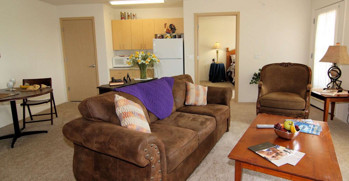 A cozy living room in an apartment with a brown sofa, decorated with pillows and a purple blanket, leading into an open kitchen.