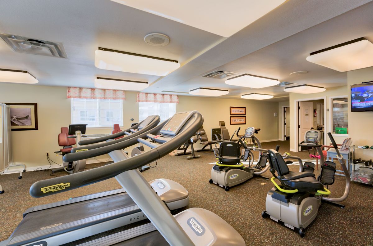 A gym with treadmills and stationary bikes in a well-lit space.