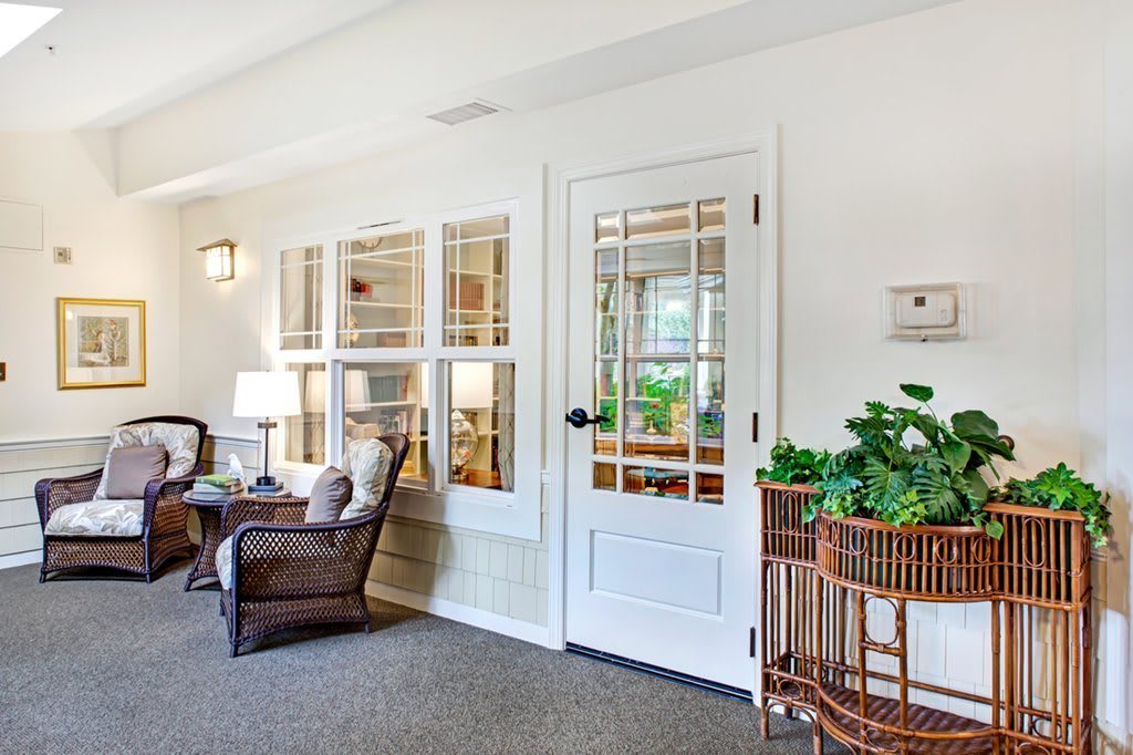 Cozy living space with natural light, featuring comfortable seating and plants.