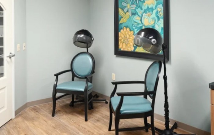 A salon interior featuring two chairs with attached hair dryers, set against a light-colored wall and hardwood floor. A floral painting adds a decorative touch.