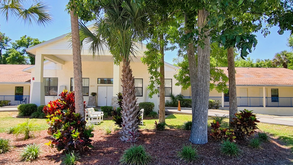 A charming house with a beautifully landscaped garden featuring palm trees and a sunny atmosphere.