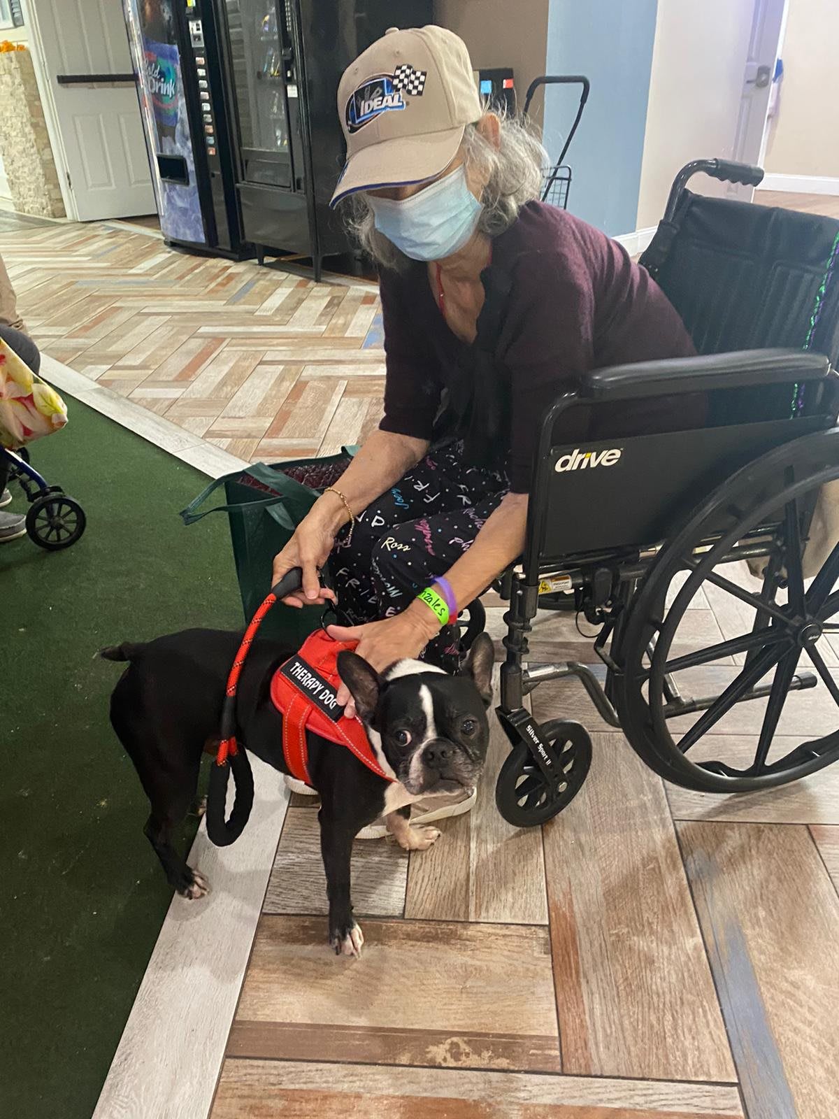 An elderly person in a wheelchair pets a service dog indoors.