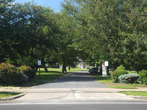 A serene residential street lined with trees under a clear blue sky.