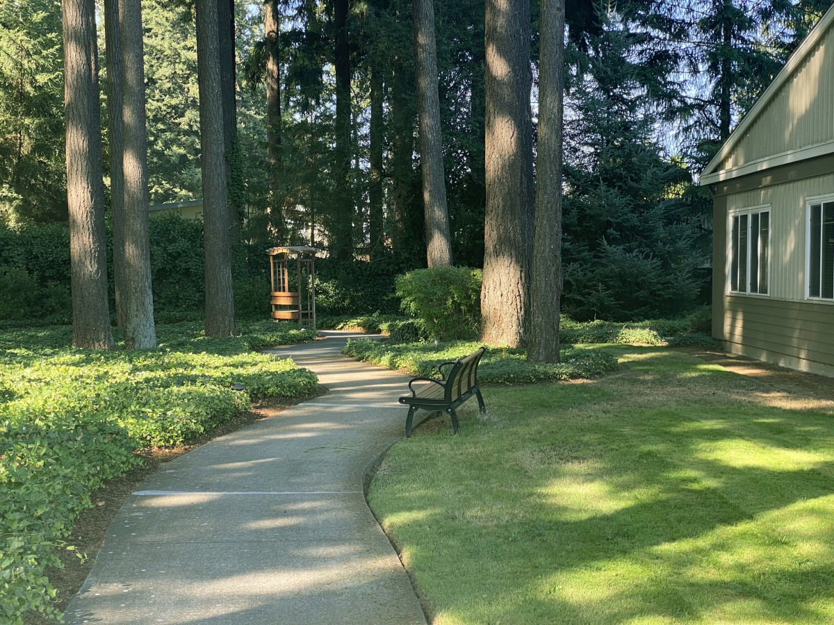 A peaceful garden pathway surrounded by tall trees and greenery.
