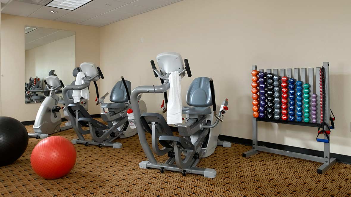 A gym with exercise machines and a rack of colorful dumbbells.
