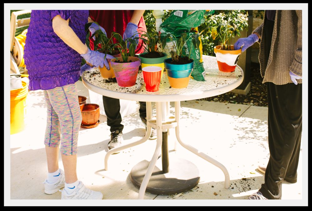 People engaged in gardening, repotting plants at an outdoor table with colorful pots.