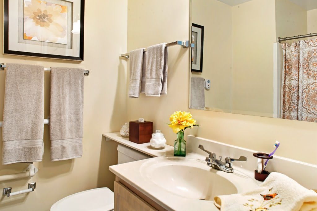 A clean and well-organized bathroom with a sink, mirror, and decorative elements.